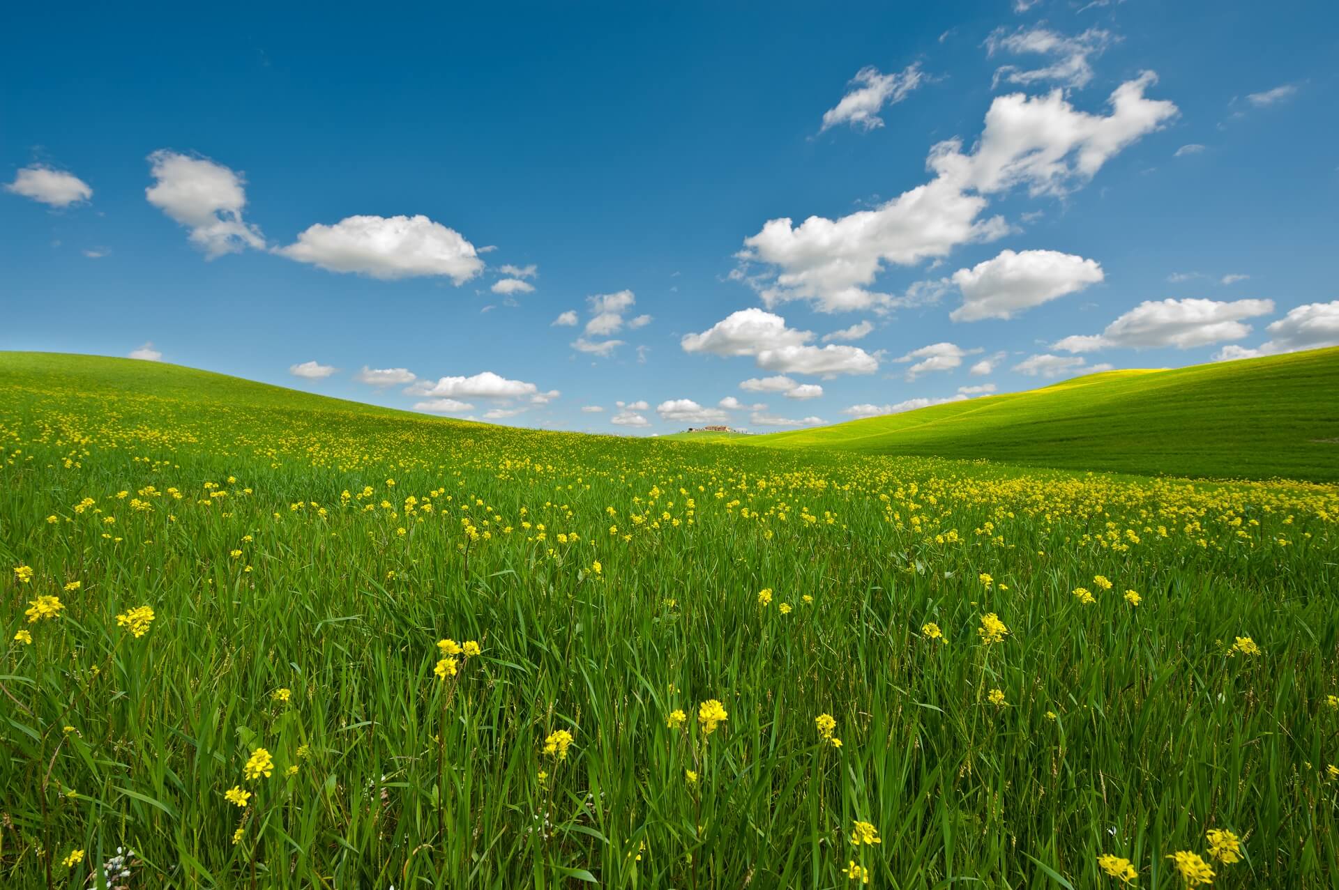 Environmental Policy Sustainaprint